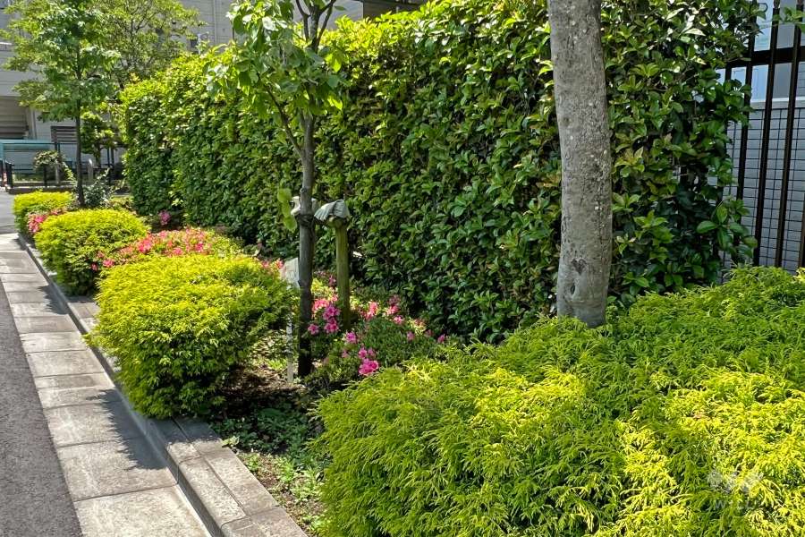 敷地の各所に植栽スペースが設けられています。