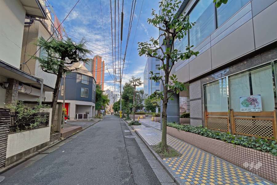 敷地北西側の前面道路（南西側から）