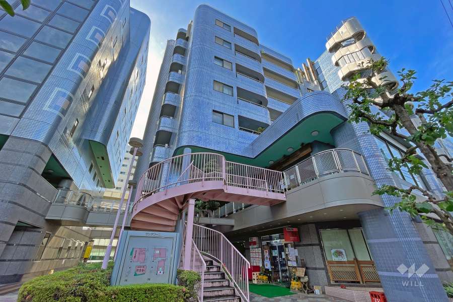 サンタワーズAの外観（北側から）