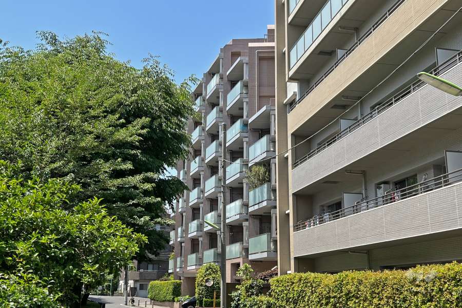 オーベル三軒茶屋dRの外観（東側から）