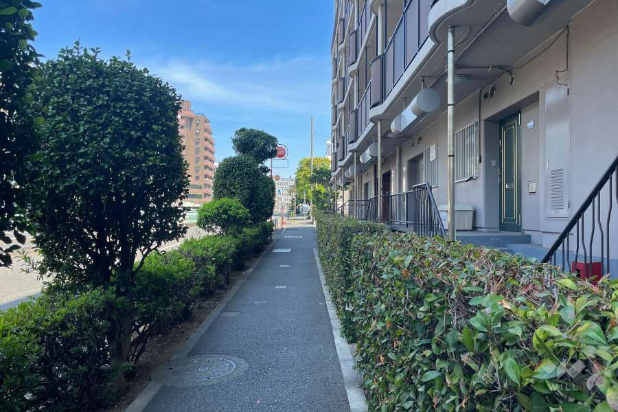 敷地東側の前面道路