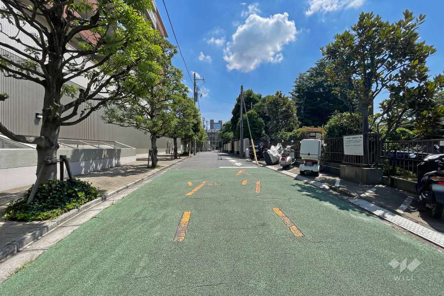 敷地北側の前面道路