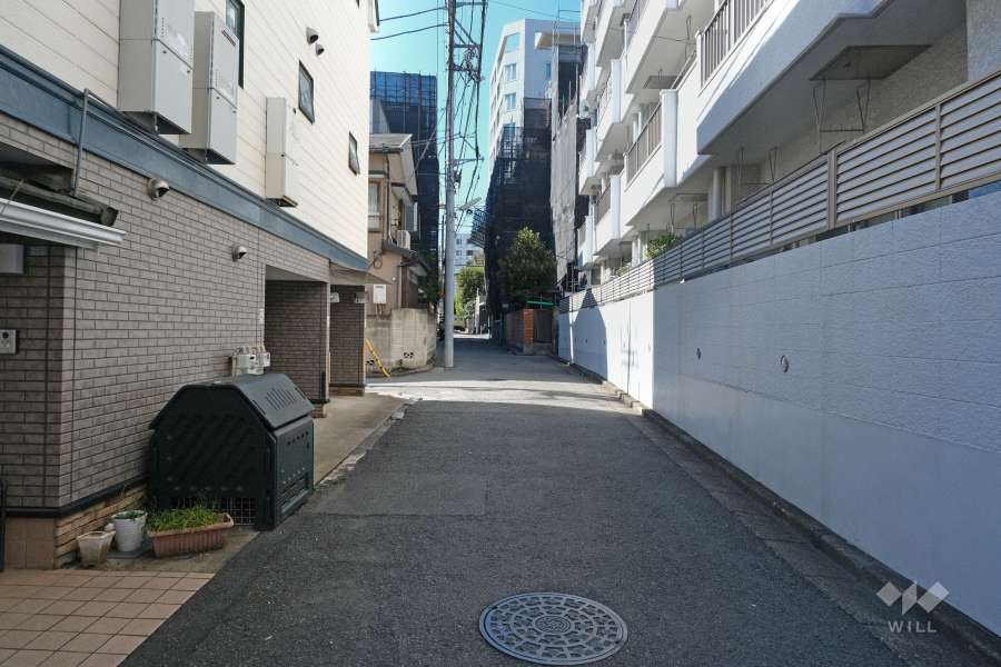 敷地南側の前面道路（東側から）