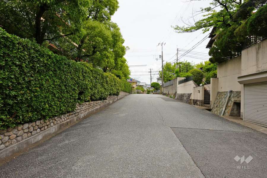 敷地東側の前面道路