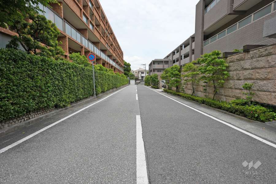 敷地南側の前面道路