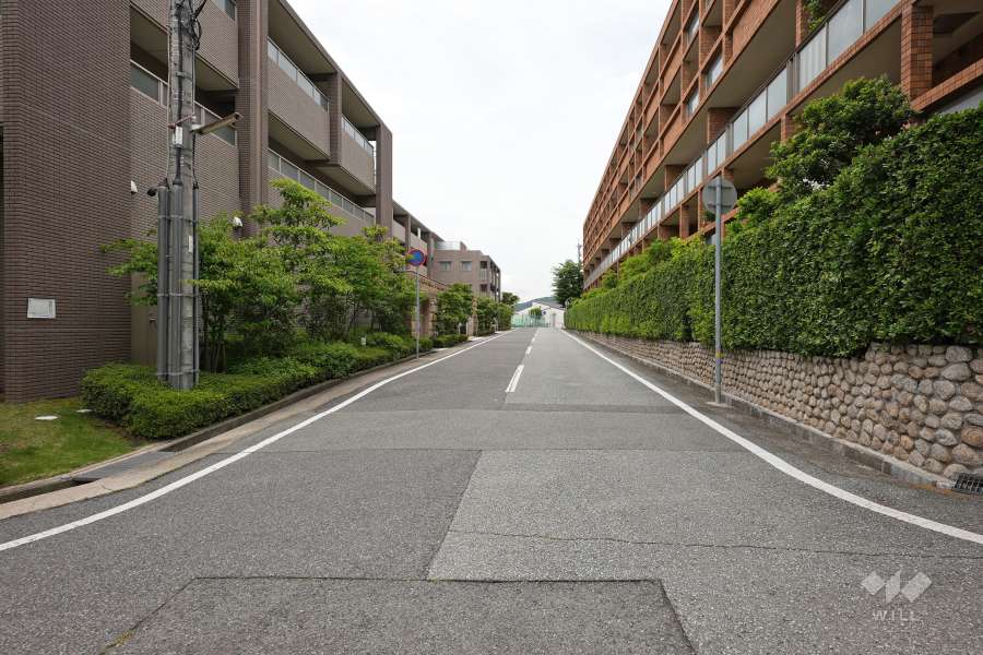 敷地南側の前面道路