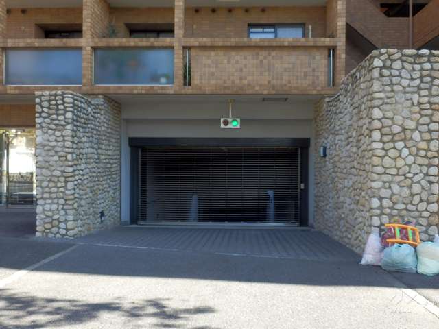 駐車場出入り口（リングシャッター付き）