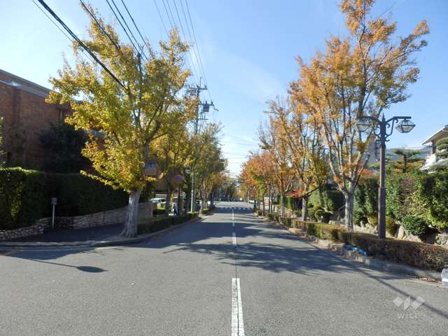敷地北側の前面道路。街路樹のきれいな通りです。