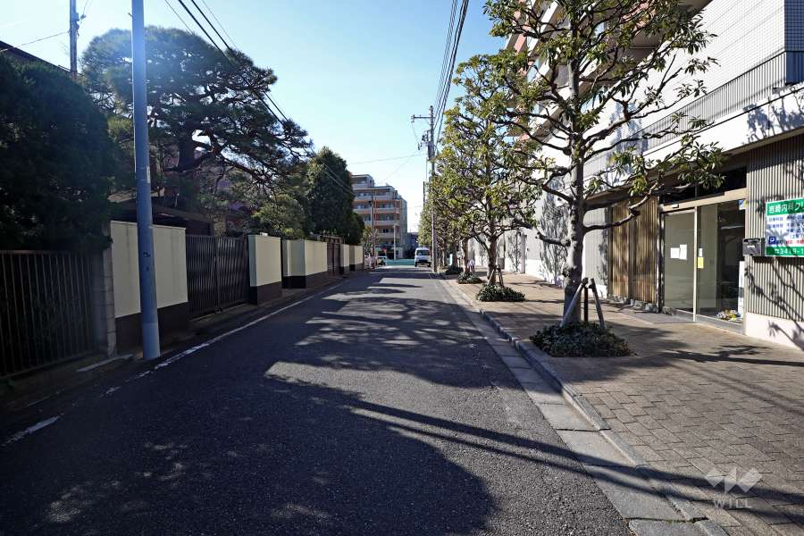 敷地南側の前面道路(東側から)