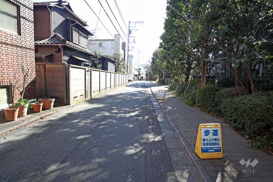 敷地東側の前面道路(北側から)