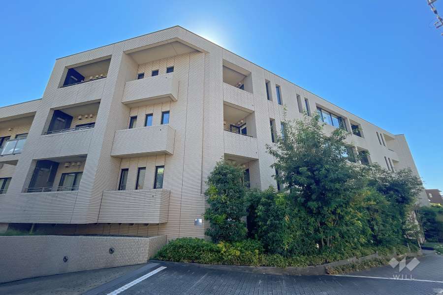 ハイレーゼ三軒茶屋の外観（北西側から）