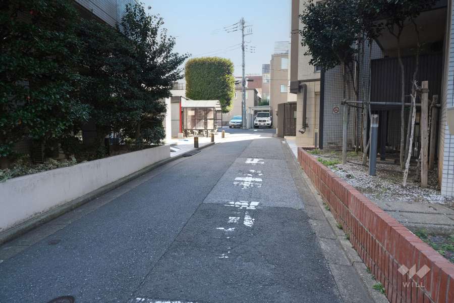 敷地西側の前面道路（北側から）