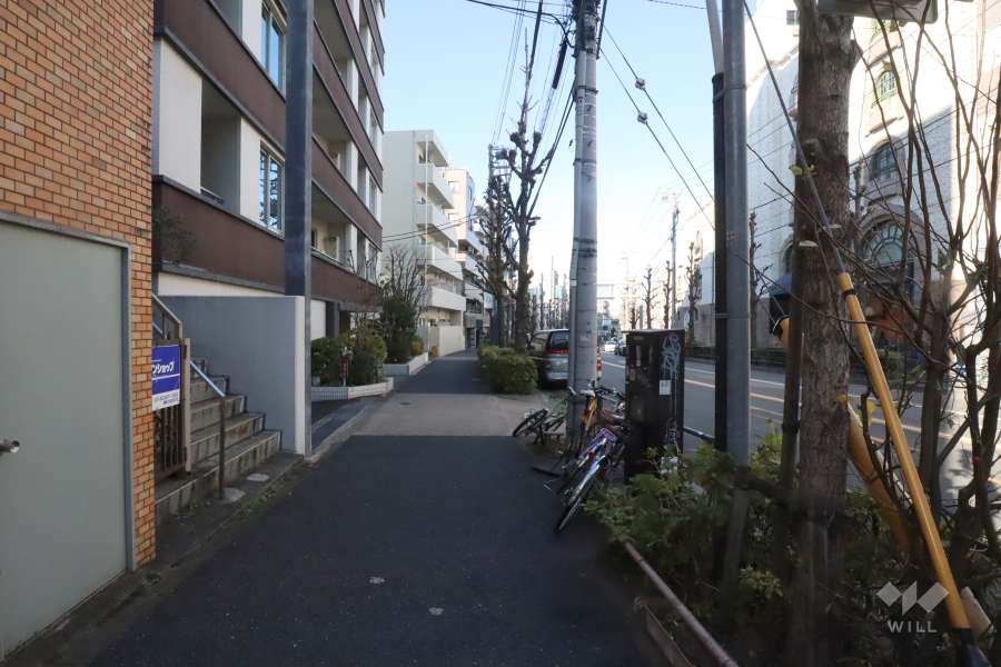 敷地東側の前面道路(南側から)
