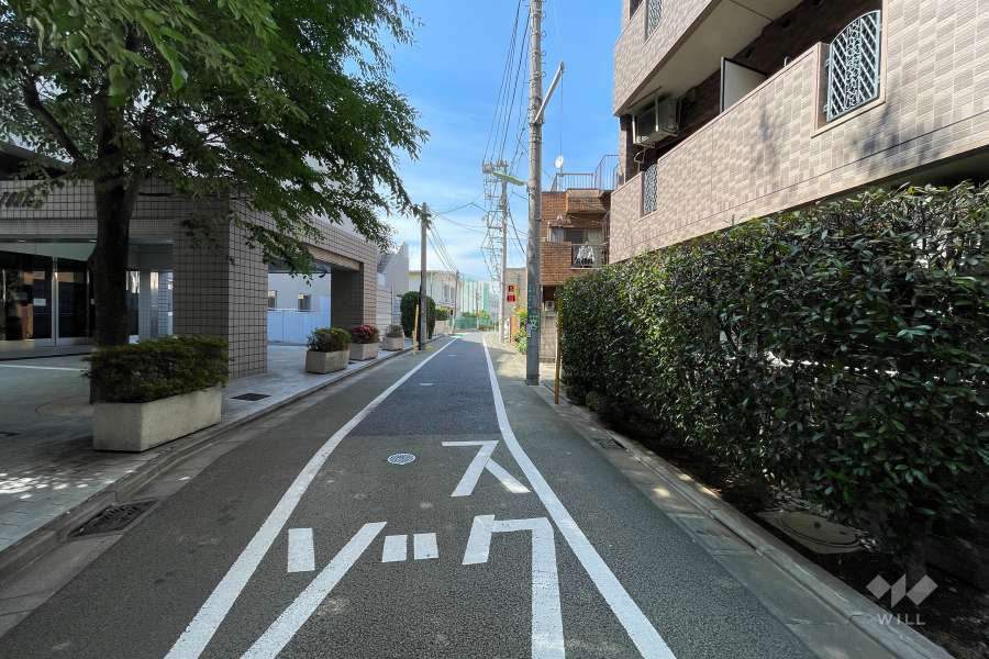 敷地西側の前面道路（南側から）