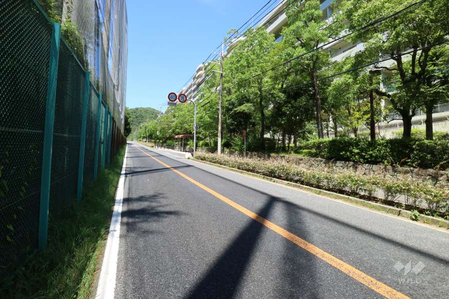 敷地南側の前面道路