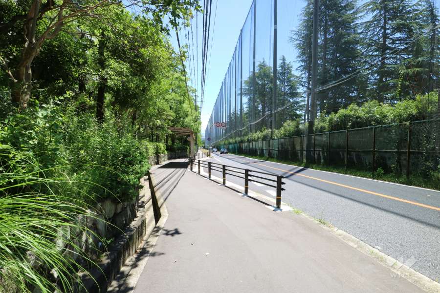 敷地南側の前面道路