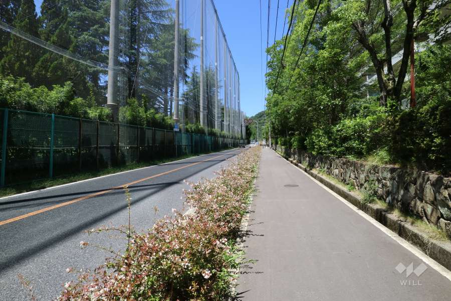 敷地南側の前面道路