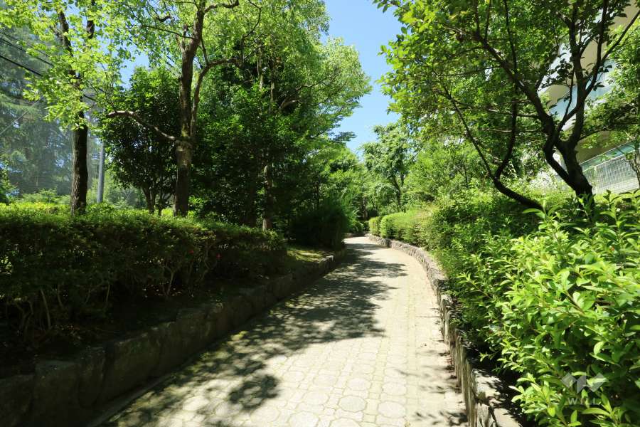 敷地南側の公園（緑道）