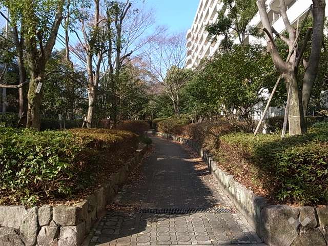 敷地の南側には緑道があります。