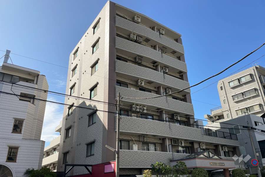 ダイアパレス三宿ベネヴィータの外観（南東側から）