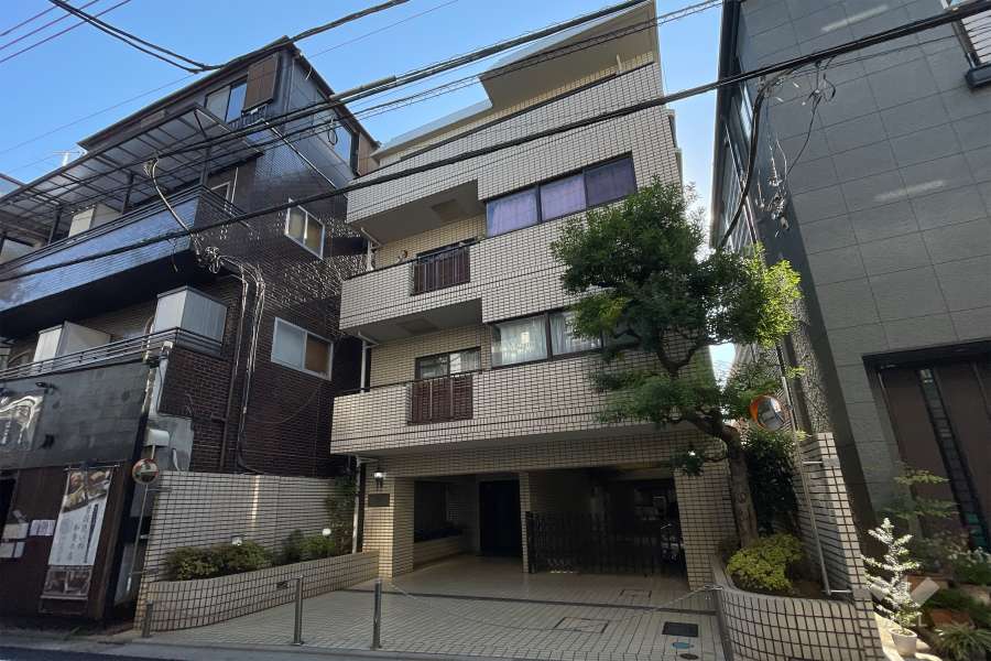 ピューイタケスズの外観（北西側から）