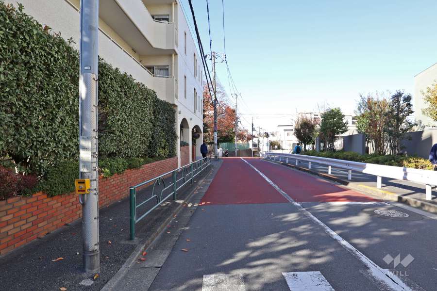 敷地東側の前面道路（南側から）