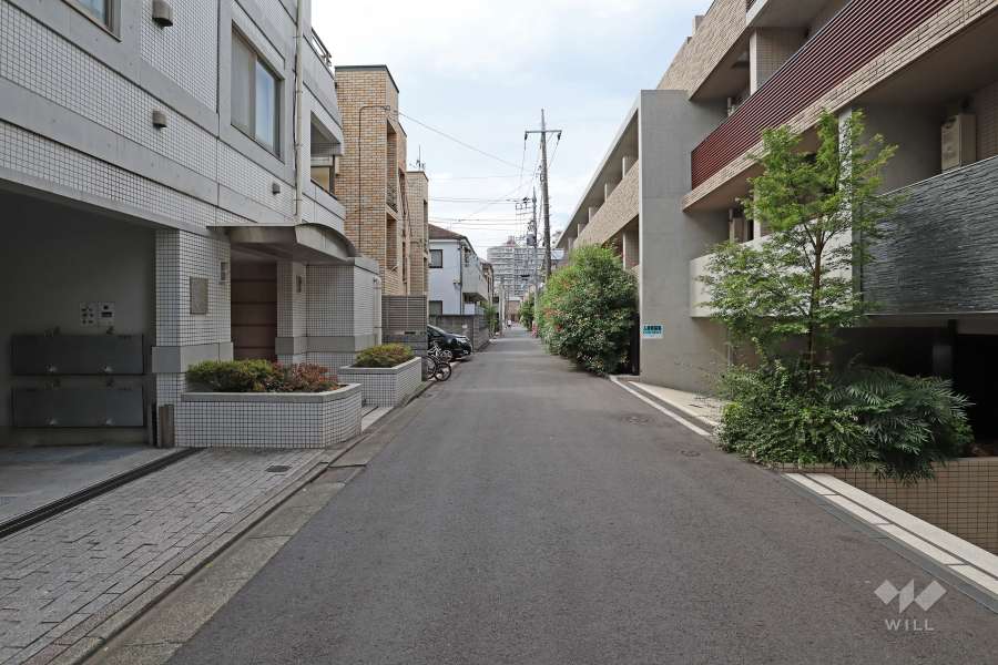 敷地北東側の前面道路（北西側から）