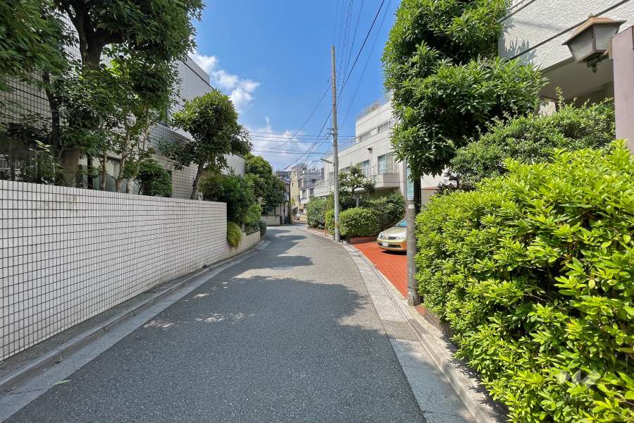 敷地西側の前面道路（南側から）