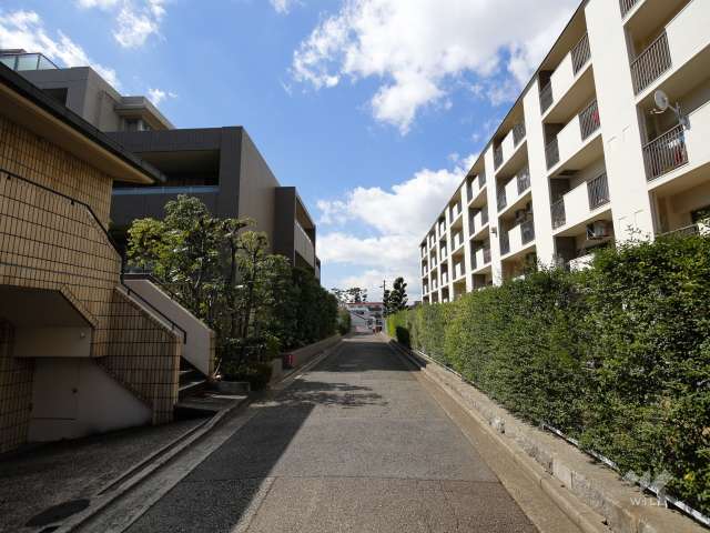敷地南側の前面道路。敷地の南、西、北の3方が接道しています。