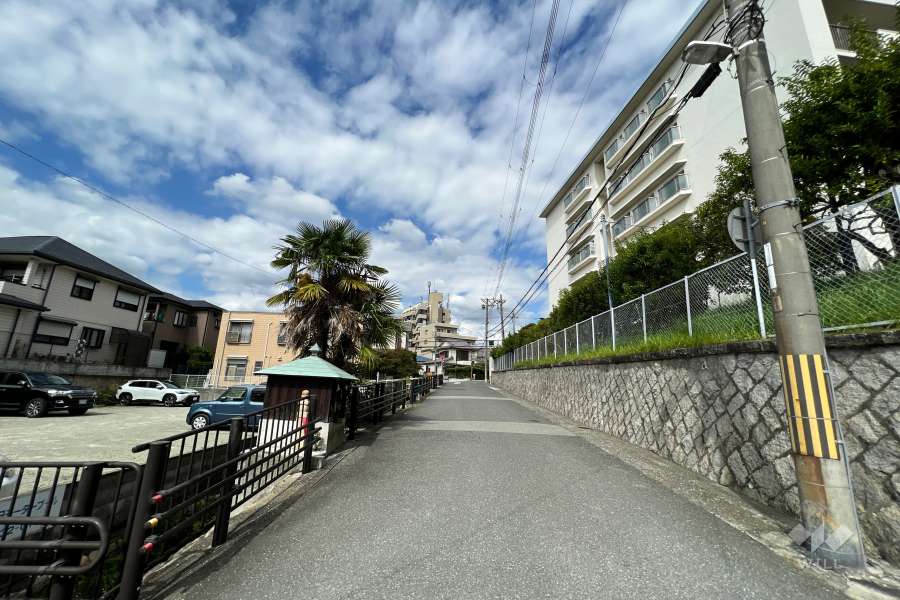 敷地西側の前面道路（南側から）