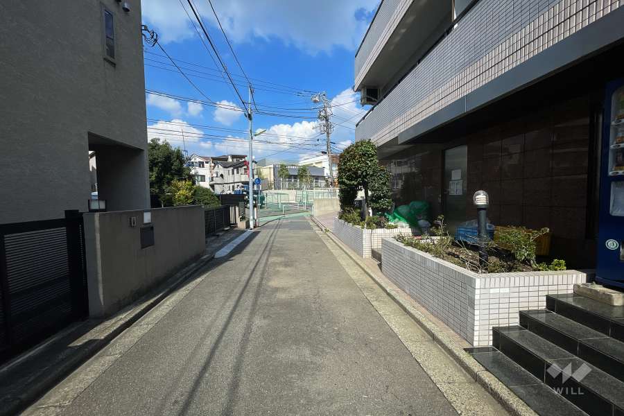 敷地西側の前面道路（南側から）