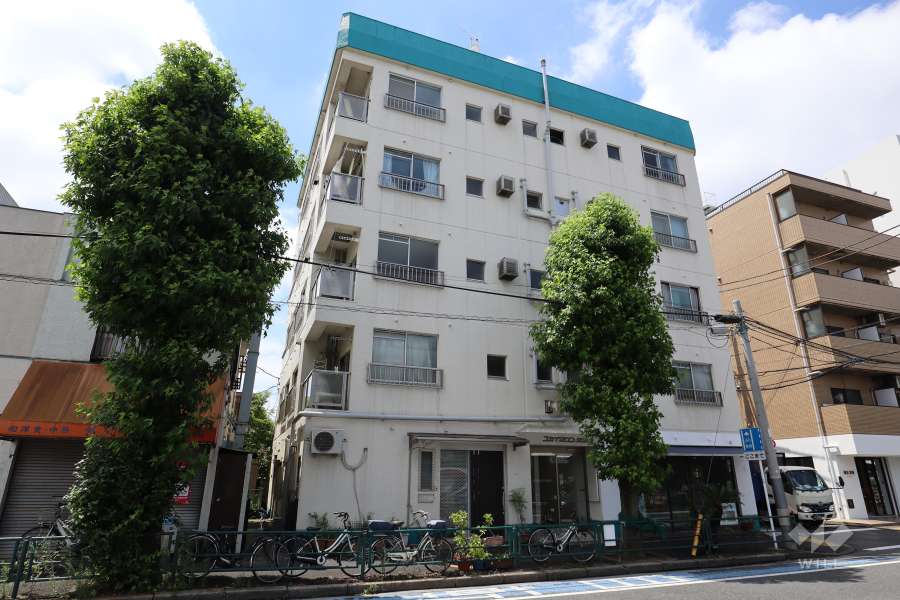 スカイタウン若林の外観(北東側から)