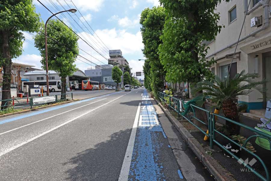 敷地北側の前面道路(西側から)