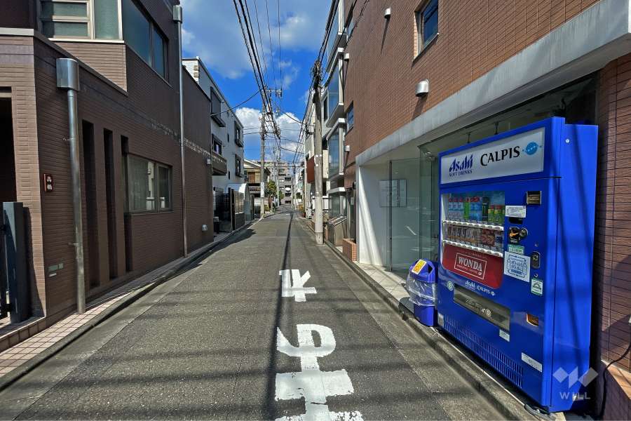 敷地北西側の前面道路（南西側から）