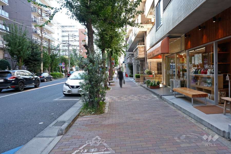 敷地南側の前面道路（東側から）