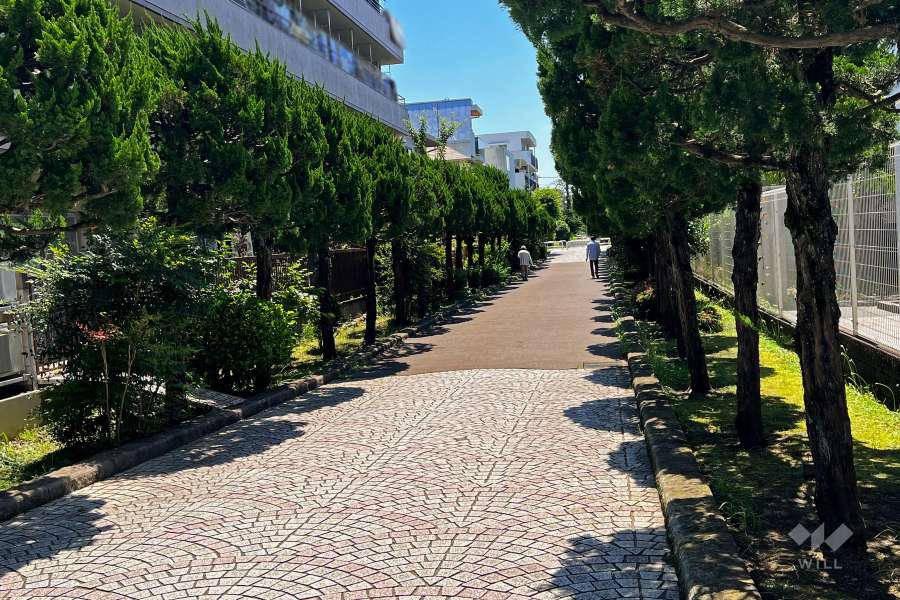 敷地南西側の共用通路（北西側から）