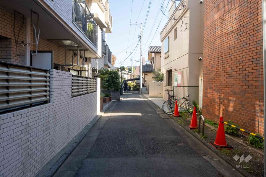 敷地南側の前面道路（西側から）