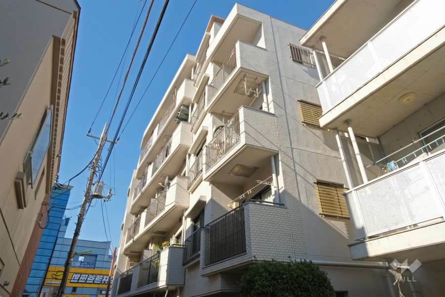 ワコー若林マンションの外観（南東側から）