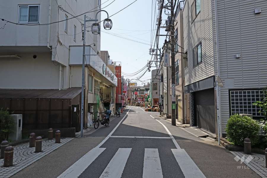 敷地西側の前面道路（南側から）