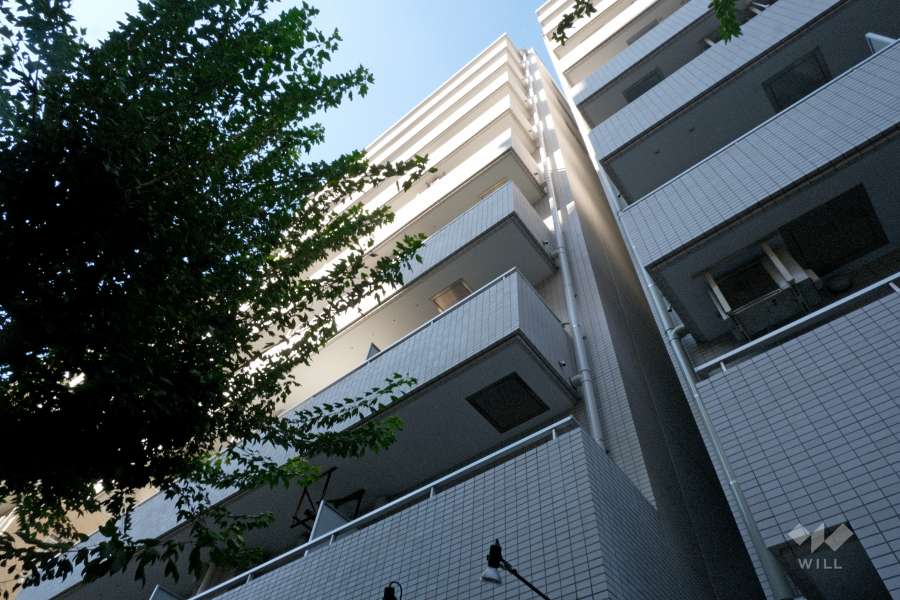 藤和シティコープ若林の外観（南東側から）