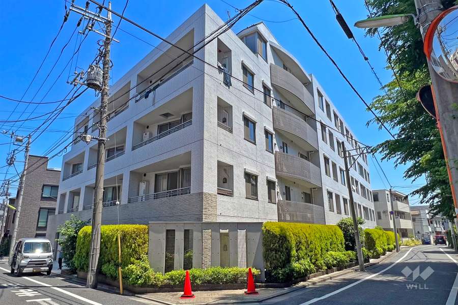 ピアース若林の外観(南西側から)