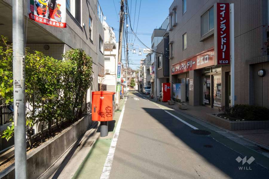 敷地の東側前面道路（南側から）