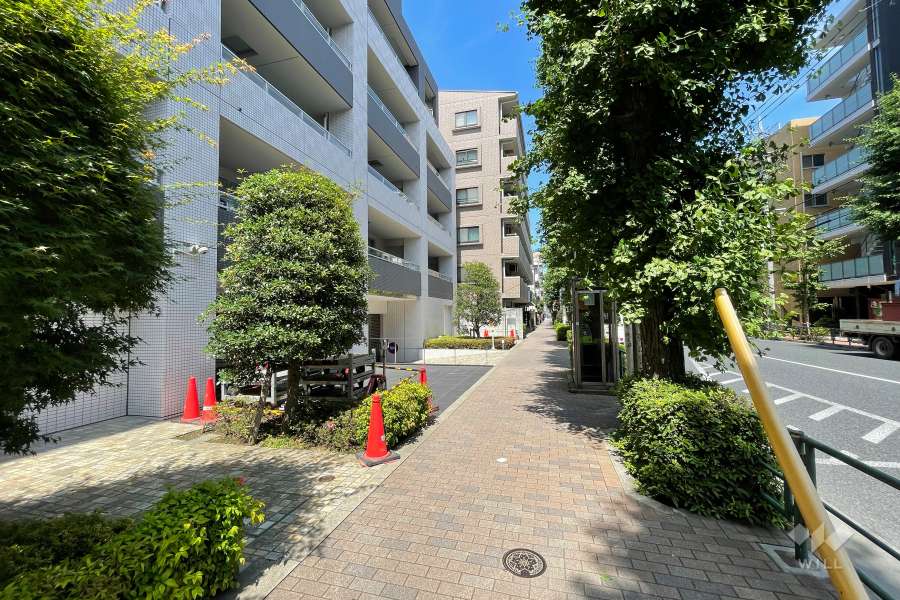 敷地南側の前面道路　　