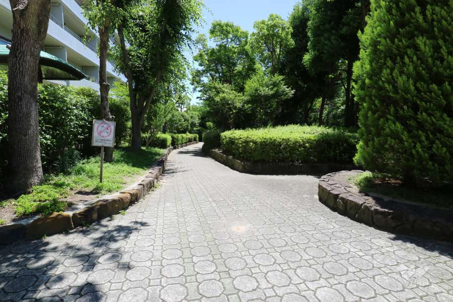 敷地南側の緑道