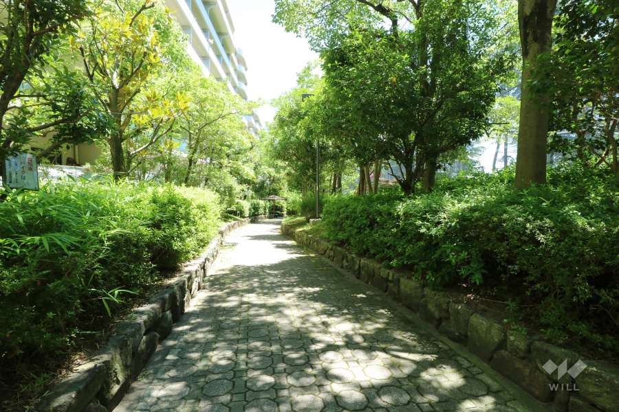 敷地南側の緑道