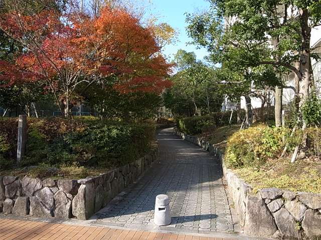 敷地の南側には緑道があります。