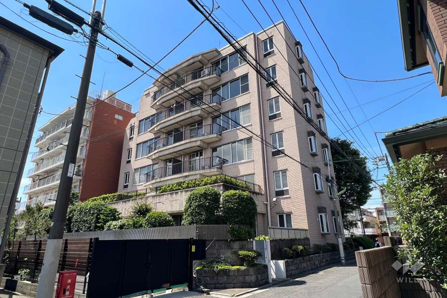 コスモリヴェール若林の外観(南東側から)