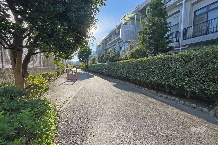 敷地北側の前面道路