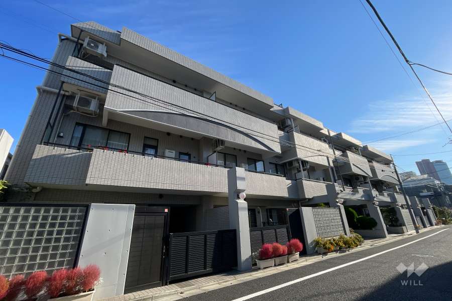 藤和世田谷若林ホームズの外観（南西側から）