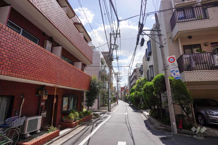敷地西側の前面道路（北側から）